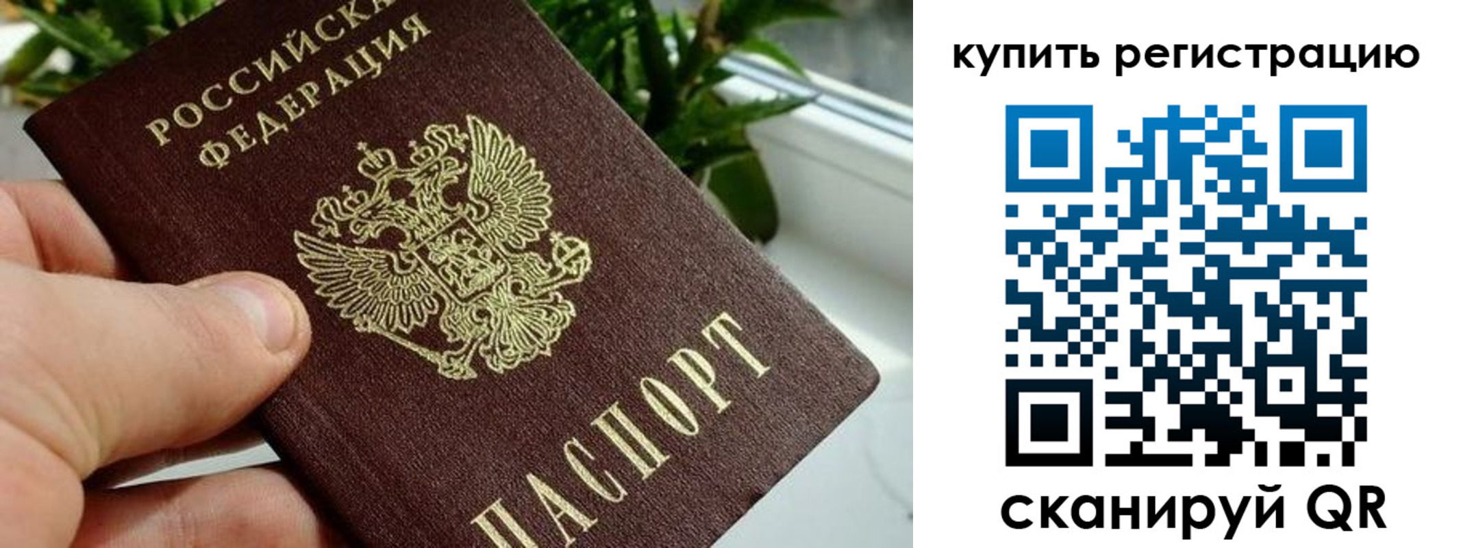 прописка гарантия в Калязине